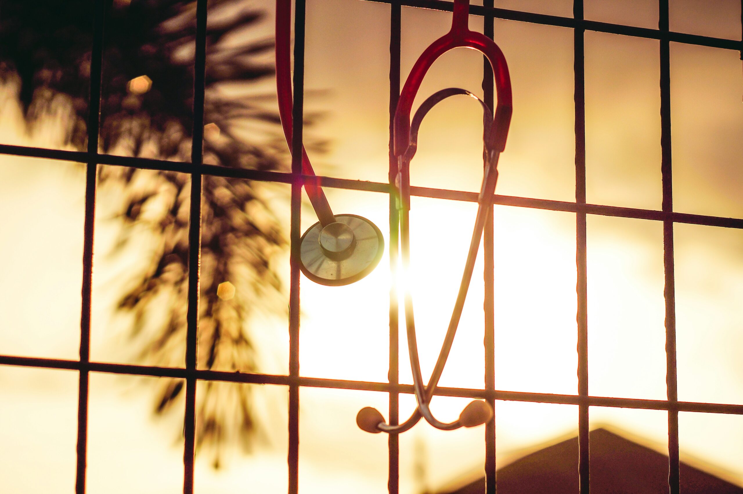 Oluwaseyi johnson YeghywXPHdM unsplash